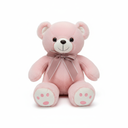 Pink Teddy Bear Soft Toy