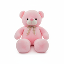 Giant Pink Teddy Bear