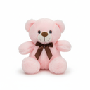 Pink Teddy Bear Soft Toy