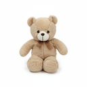 Teddy Bear Soft Toy