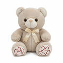 Plush Teddy Bear
