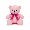 Pink Teddy Bear Soft Toy