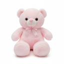 Pink Teddy Bear Soft Toy