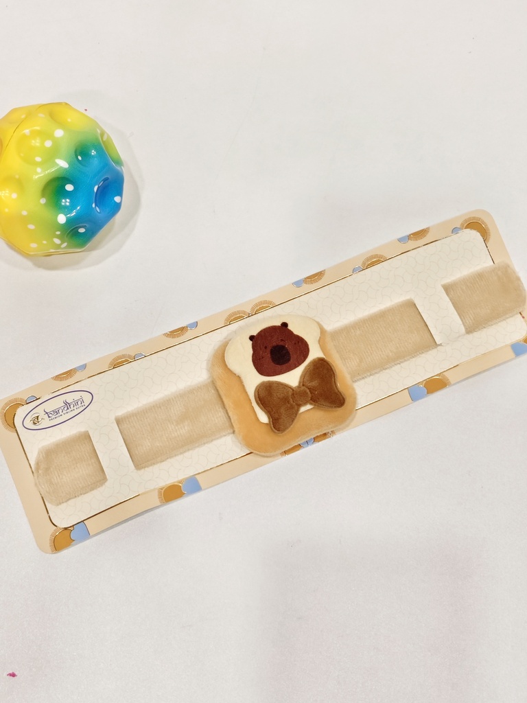 Rakhi