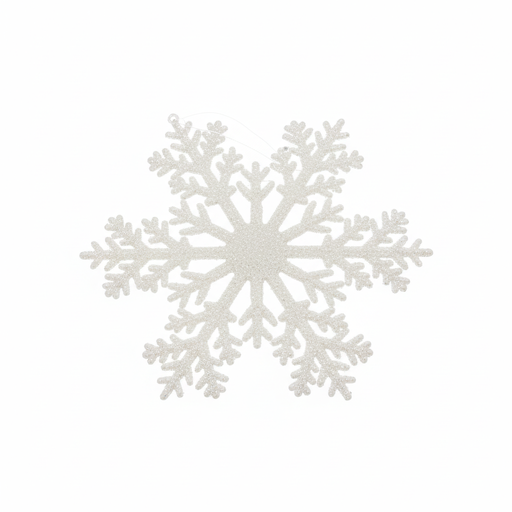 [https://drive.google.com/file/d/1xcWHnYLWpN4Dpr5zBw87XeBGyCaqlWEu/view?usp=drivesdk] Glitter Snowflake Ornament
