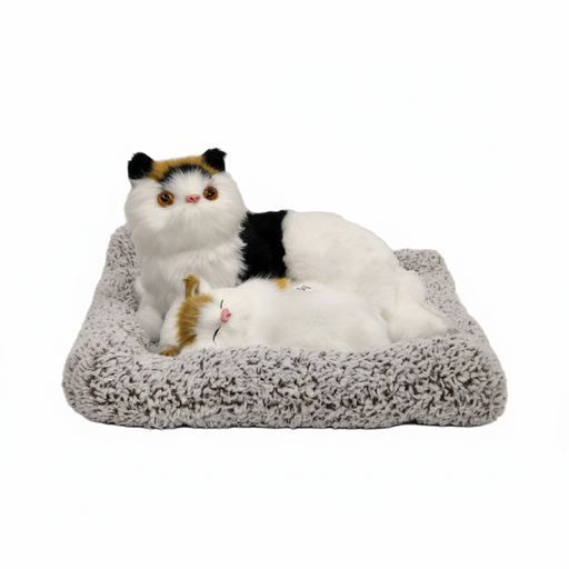 [https://drive.google.com/file/d/1gRCsCaEcBJpmA-ic8uEFoLjL5pGW2imd/view?usp=drivesdk] Cat Plush Toy Set
