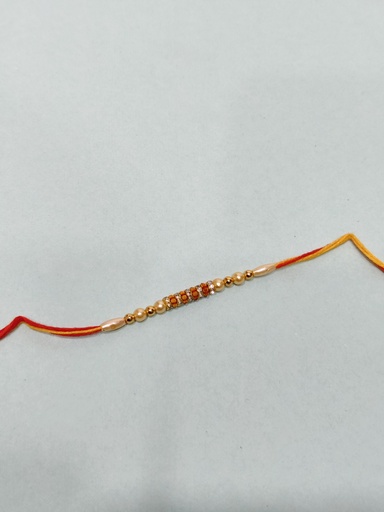 [2-15-13.jpg] Rakhi